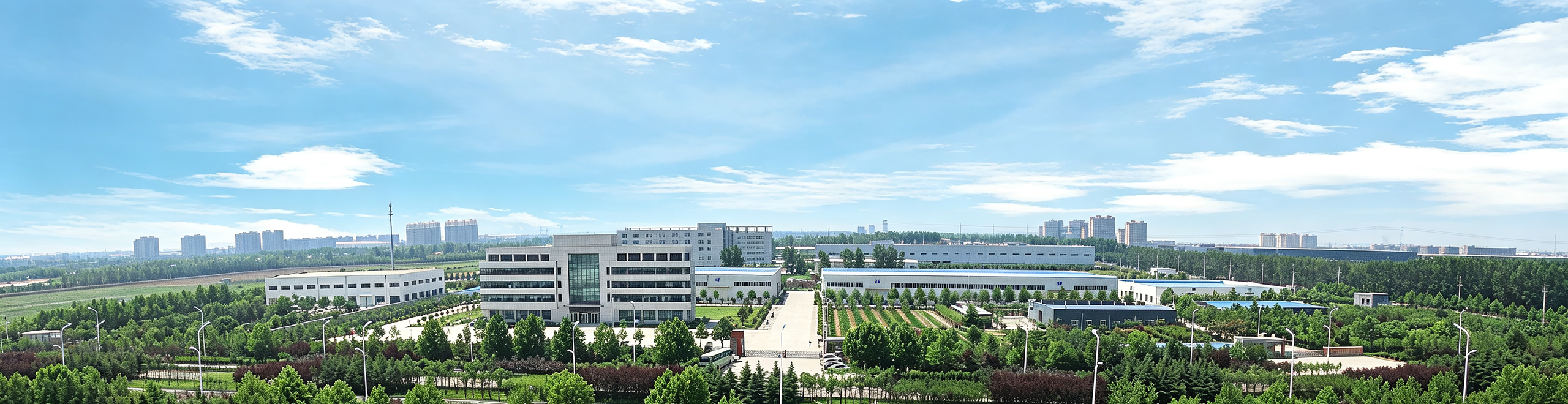 Factory Shandong 1